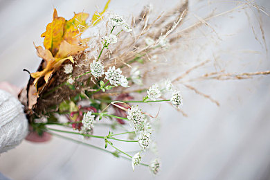 樱花直播｜樱花飘舞，情感交织的直播盛宴-2