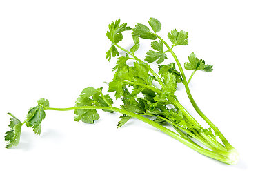 我想看B站直播怎么看｜探索弹幕海洋，畅游B站直播盛宴-2