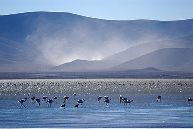 69 乐园 成功日志｜揭秘“69乐园”：创新拼搏铸就娱乐王国辉煌-3