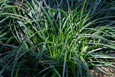 彩虹 Gay.com｜彩虹 Gay.com：同性恋主题游戏魅力绽放，情感之旅引人入胜-2