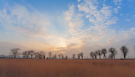7月电子厂全景沟厕｜“沟渠之痛：揭秘电子厂环保困境，共筑绿色产业未来”-2