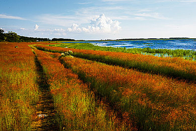 男男猛男办公室激情欧美｜男男猛男职场冒险：欧美办公室激情挑战，体验刺激职场巅峰之旅