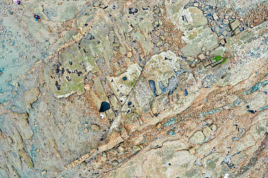 久久久这里只有免费的精神｜心灵港湾：传递爱与正能量，共创和谐家园-3