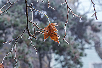 黄色软件免费下载OPOO｜“免费下载成陷阱，OPOO软件涉嫌黄内容引发社会关注：网络安全警钟长鸣”-2