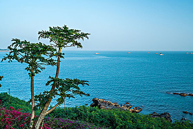 茄子视频黄色｜网络安全先锋，守护内容净土之旅