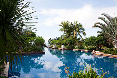 黄色视频APP下载|网络黄毒陷阱揭秘:理性下载,共建清朗网络空间-1