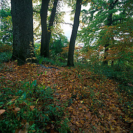 51onlyfans|数字交互平台崛起,机遇与挑战并存-2