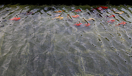 麻豆APP｜隐私之争下的数字时代如何重塑信任-3