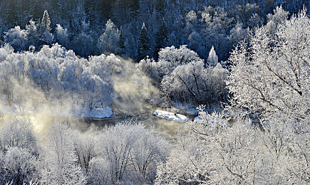 网暗禁区免费｜“隐私护航还是暗流涌动？免费匿名服务引发安全深思”-2