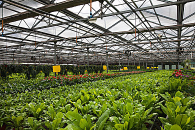 欧美一二区|“欧美一二区:揭秘全球商业黄金地带,揭秘企业布局新战略支点”-2