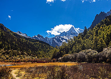 欧洲一区二区三区精品｜数字内容的精彩崛起与创新变革之路-2