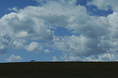 最新国产av|情感交织中的欲望探索,打破传统界限-1