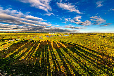 蝶恋直播｜蝶恋花海，直播盛宴，浪漫来袭-1
