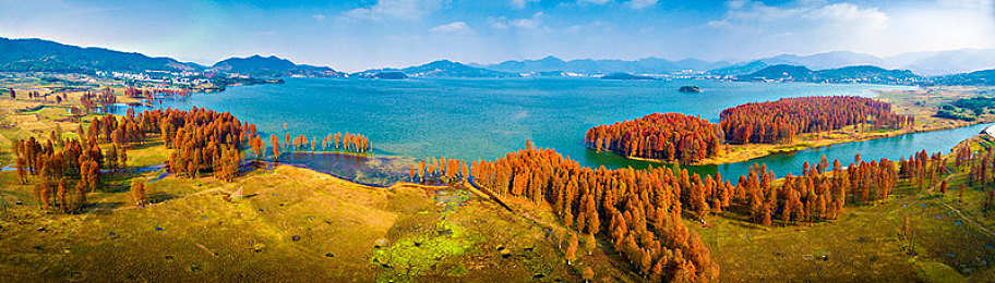 不知火和三个小男孩在森林公园｜森林奇遇：神秘不知火之旅-4