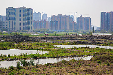 麻豆传媒入口|数字时代成人内容的崛起与文化思考-2