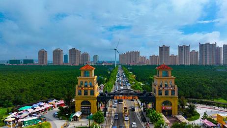 日本黄色软件|日本黄色软件泛滥:社会影响与监管挑战,净化网络环境刻不容缓-1