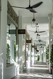 旅行者骑在雷神身上运动轮廓｜雷电奇遇：旅行者与雷神共舞，唤醒自然和谐之思