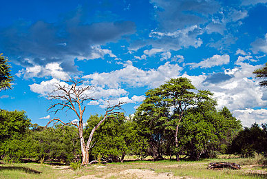 天美麻花果冻,麻花传苏｜美食传说之旅，麻花果冻苏城探险记