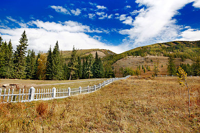 自述被啪的最爽的一次知乎｜荒野奇遇：揭秘塞尔达传说中隐藏的“被啪”巅峰体验-2