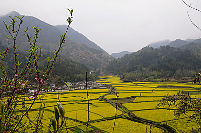 黄色斗罗大陆｜网络文学争议之作：道德底线与市场需求之辩，斗罗大陆如何走向未来？-1