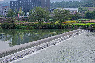 女人与公牛发生性行为后如何解决｜荒野求生：禁忌之恋，求生挑战新境界-2