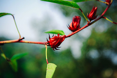 爽 躁多水 快 深点原神|原神奇幻之旅:爽快躁动,水润风景,快速升级,深度探索-2