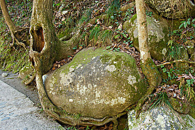 娇妻与翁回乡下被蹂躏的背景故事|乡村深情:娇妻翁回风雨同行之旅-1