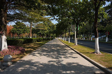 下载3.0.3每天无限免费大全苹果｜苹果用户热捧“下载3.0.3”：每日免费应用，市场新活力涌动-2