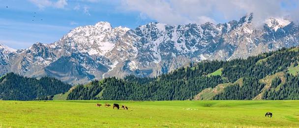 黄游下载3.0.3每天无限次免费大全免费2023｜免费无限，畅享游戏资源，黄游下载3.0.3，正版体验新选择-3