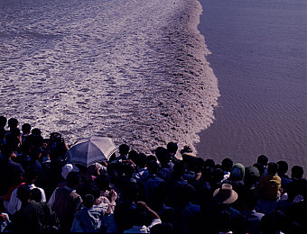 绿巨人APP|绿色生活新引擎,绿巨人APP引领环保潮流-3