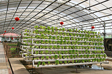 男生女生一起差差差大全app下载安装｜发现差异，趣味互动，结交新友-3