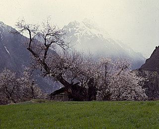 欧美ZoZ0人与物物动|探索奇幻异世界:ZoZ0生物互动大冒险-3