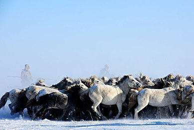 18黄色|探寻古韵唐黄,传承18色吉祥之旅-2