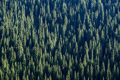 中国老太体内 精1｜健康探秘：体内异物惊魂记