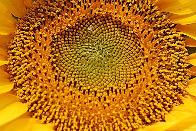 麦乐迪女超人 满天星版｜麦乐迪女超人星际冒险，闪耀星空奇幻之旅-4