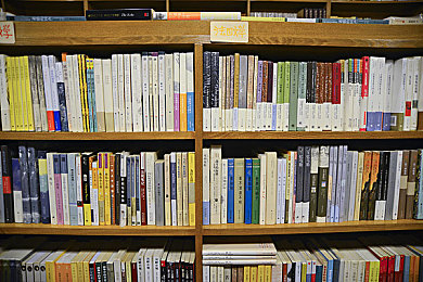 亚洲一线产区和二区产区的优劣｜“品质与价格双赢：一线产区与二区产区的农业魅力”-2