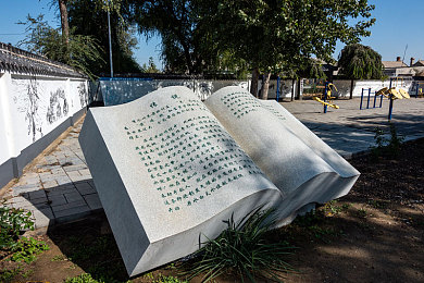 爱情电影aqdy鲁丝二片|鲁丝情深:爱在现实夹缝中绽放新篇章-1