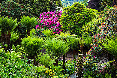 2025无人用过的实名认证｜2025生物链革新，解锁未来实名认证新纪元-2