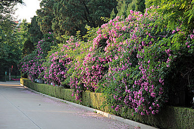 铜铜铜铜铜铜铜好深色星空|探索神秘深空:铜铜铜铜铜铜铜好深色星空独特魅力揭密-2