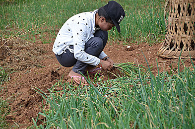 机机和机机手机免费版｜畅享生活无限，机机免费版助你飞跃新境界