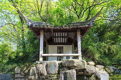 中国黄色软件｜网络净化行动：揭秘中国黄色软件泛滥现状及应对策略-2