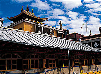 仙踪林company limited19岁英文|青春扬帆,仙踪林19岁英伦启航,绽放国际化新篇章-1