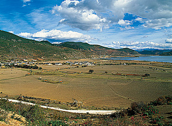 啄木鸟女骑士满天星最新版本介绍｜啄木鸟女骑士满天星全新升级版来袭：角色升级、社交互动大革新，游戏体验再升级