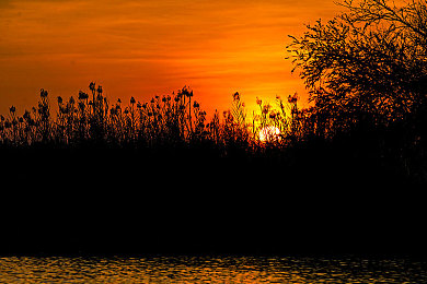 国产AV成人片｜性知识与文化冲突的探索之旅-1