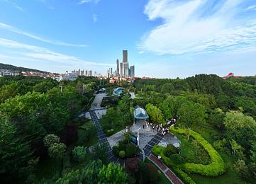 黄色app2023｜网络清朗新篇章，2023共筑无“黄”净土-3