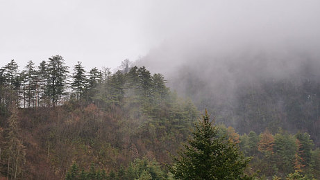 屁股夹筷子的家法｜古今交融，家法传承：揭秘“屁股夹筷”的教育智慧-3