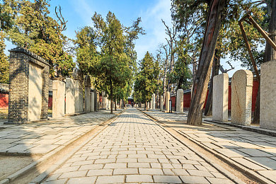 中国老太婆的B｜“笑谈‘B’困扰，共筑和谐夕阳”-3