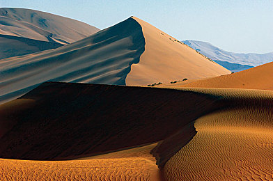 爱情岛首页论坛｜甜蜜邂逅，浪漫岛情-2