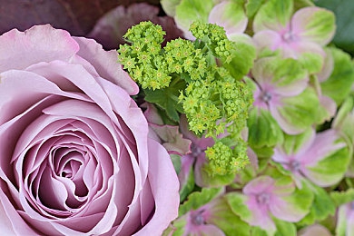 www黄色com｜网络净化者：清除“www黄色com”的正义之旅-1