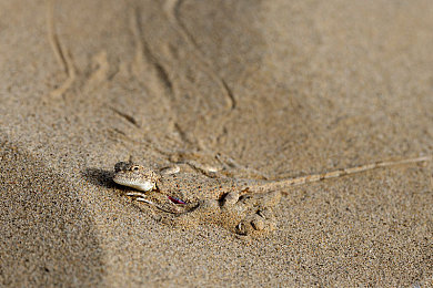 操屄软件|科技进步与道德底线的博弈正在加剧-1